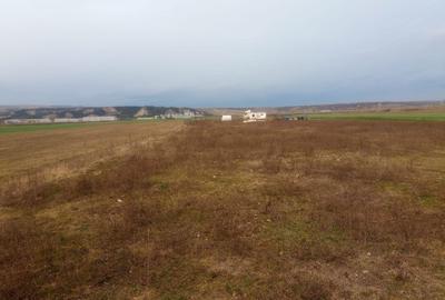 Spațiu comercial, în Mihai Viteazu - 2