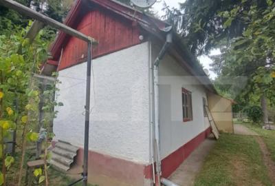 Casă cu 2 camere cu Teren 1000 Mp în Vulcan - 12