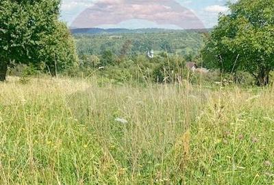 Teren agricol extravilan de 1915 mp, în Breb - 4