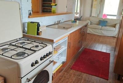 PESTERA CASA DE VANZARE - MOECIU! - 14