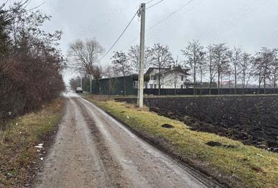 Teren de 15000 mp, în Saucenița - 3