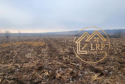 Uzunu Calugareni DN5/E85 -casa, anexe, intravilan 10.488mp, utilitati - 12