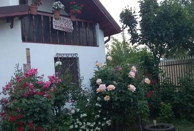 Casa si teren 1815 m - 5