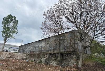 Doua hale industriale de vanzare, 390 mp + 216 mp, Calea Buc - 3