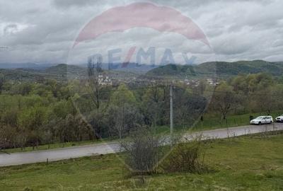 Teren Construcții de 4780 mp, în Vadu Izei - 3