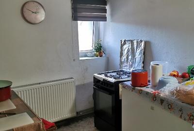 Casă individuală cu 3 camere cu Teren 4482 Mp în Hobița-Grădiște - 2