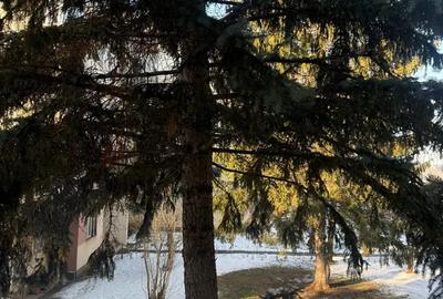 Apartament 2 camere , etaj 1. ?trand. 49mp2 utili - 8