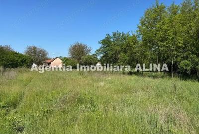 Teren de 941 mp, în Criș - 7