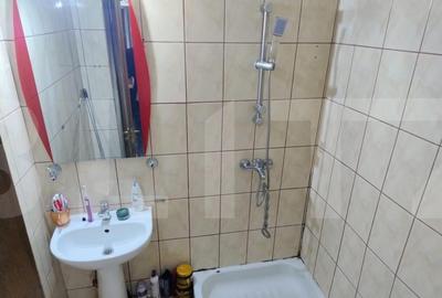 Apartament cu 4 camere decomandat, mobilat în Doamna Ghica - 16