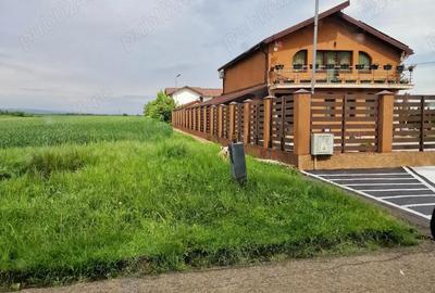 Teren de 51749 mp, în Berceni - 1