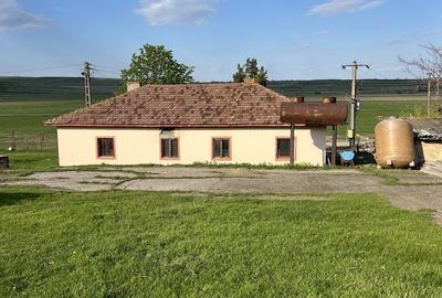 Spațiu comercial, în Ceplenița - 6