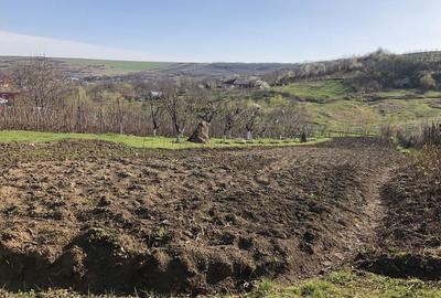 Teren de 5000 mp, în Miroslava - 3
