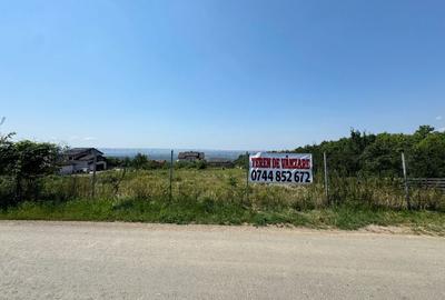Teren de 960 mp, în Păun - 3