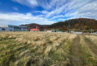 TEREN INTRAVILAN DEOSEBIT , BUNLOC, SACELE TEREN INTRAVILAN DEOSEBIT , BUNLOC, SACELE - 4