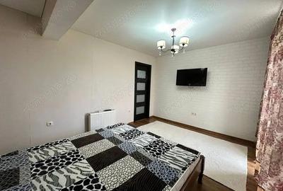 Garsonieră decomandată în Vitan