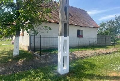 Vand casa la tara - 1