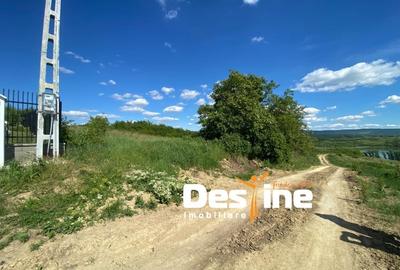 Teren Construcții intravilan de 3250 mp, în Ciurbești