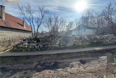 Teren Construcții intravilan de 1000 mp, în Nădășelu - 4