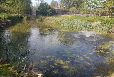Casă cu 4 camere cu Teren 1500 Mp în Valea Părului - 9