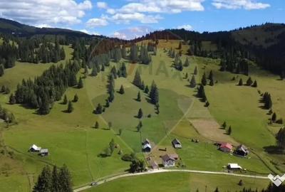 Teren de 14318 mp, în Paltin - 7