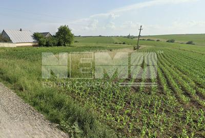 Teren Construcții intravilan de 1822 mp, în Sfântu Ilie - 1