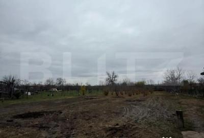 Casă cu 3 camere cu Teren 2745 Mp în Central - 4