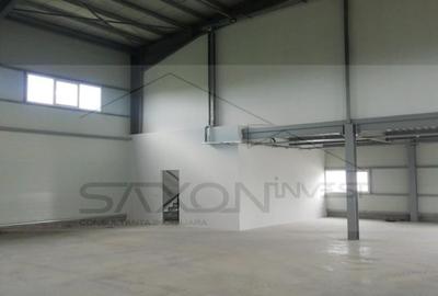 Hala depozitare sau productie   Drumul intre Tarlale,  600MP - 5
