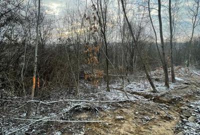 Spațiu comercial, în Colțirea - 2