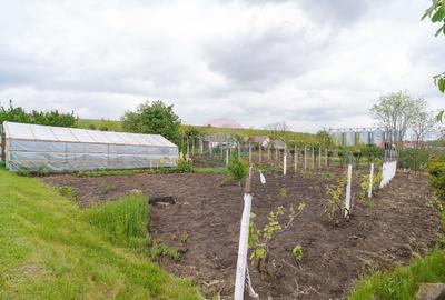 Casa / Vila cu 10 camere, de vanzare. Todireni, Botosani. - 10