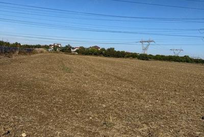 Teren de 14700 mp, în Glina - 1