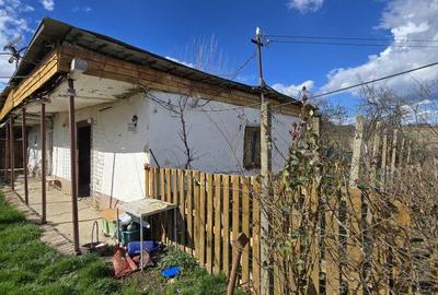 Casă cu 3 camere cu Teren 2876 Mp în Central - 13