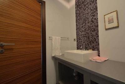 Apartament cu 6 camere semidecomandat, mobilat în Herăstrău - 14