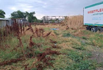 REC3001535 Inchiriere spatiu comercial I camere frigorifice I 40 min Bucuresti - 18