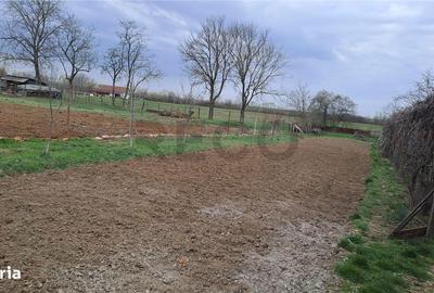 Casă cu 2 camere cu Teren 1000 Mp în Cefa - 4