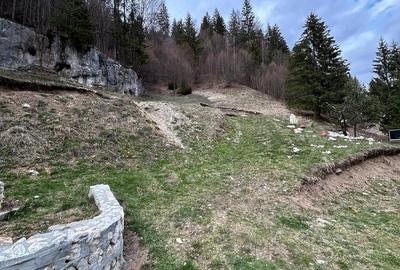 Teren de 6000 mp, în Dâmbovicioara - 4