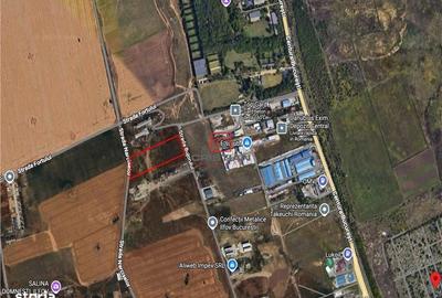 Spațiu comercial, în Domnești - 2