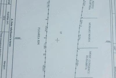 Teren de vanzare in Bradulet Arges - 10