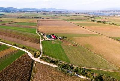 FILM! 18.000 mp,extravilan,agricol+constructii, recomandat:ferma,investitii agri - 12