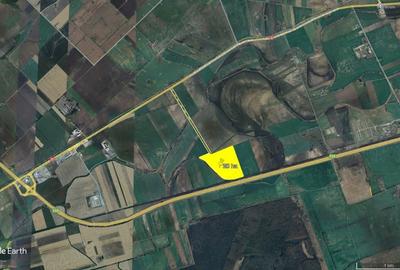 Teren de 200000 mp, în Pecica - 5