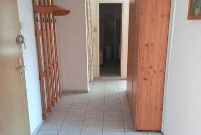 Apartament cu 2 camere decomandate zona Terezian - 4
