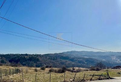 Casă cu Teren 2500 Mp în Central - 4