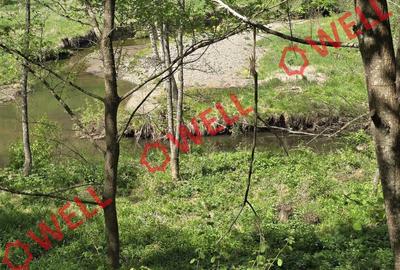 Teren extravilan de 5600 mp, în Filia - 4