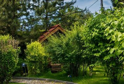 Casă individuală cu 8 camere cu Teren 1670 Mp în Balotești - 13
