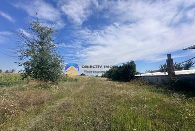 Teren intravilan de vanzare 1.688 mp, Dumbrava Ro?ie - 1