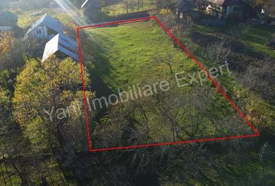 Teren de 1120 mp, în Arefu - 9