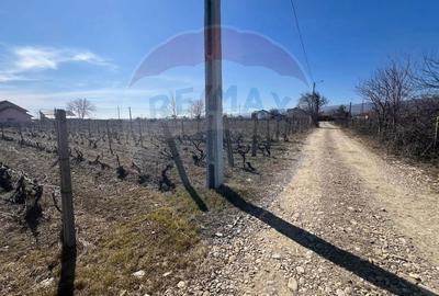 Teren de 1523 mp, în Unirea - 1