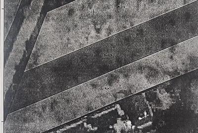 Vand teren intravilan, Babana, sat Ciobanesti, Ag, cu proiect de casa - 3