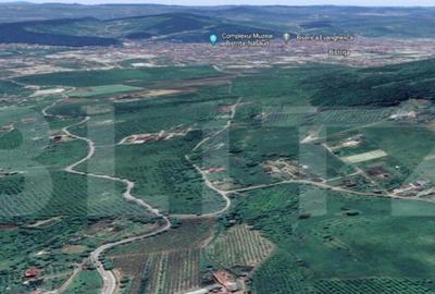 Teren de 11.5 ari (1150 mp) intr-o zona lini?tita, in p - 2