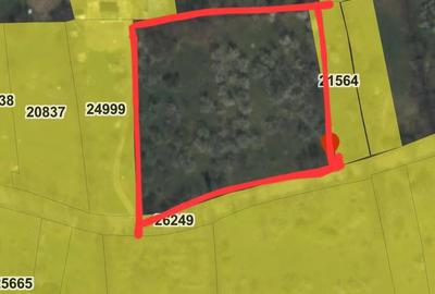 Teren de 4400 mp, în Vatra Satului - 7