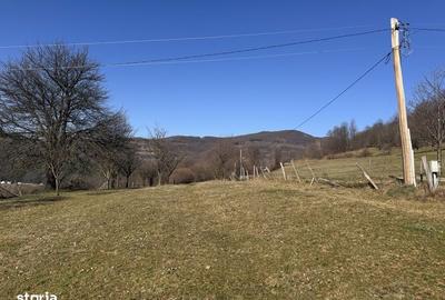 Teren de 3020 mp, în Negreni - 6